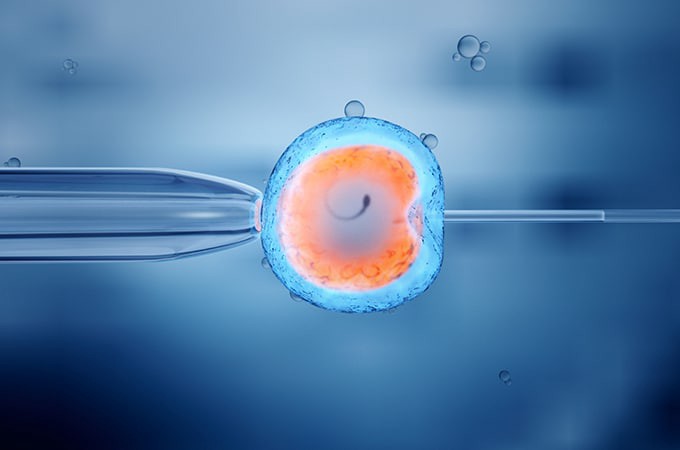 AIVF Breaks Ground With In Vitro Fertilization Innovation