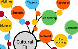Culture fit in organisations