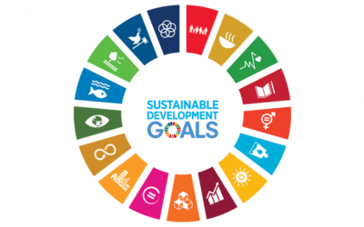 Attaining Sustainability Development Goals with Data and Analytics