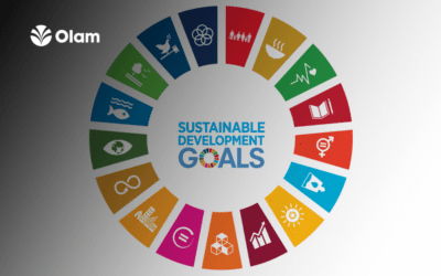 Attaining Sustainability Development Goals with Data and Analytics